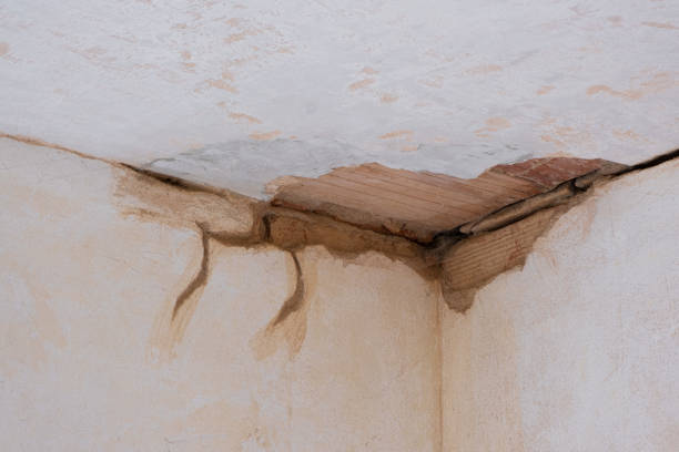 Best Flood damage cleanup  in State College, PA