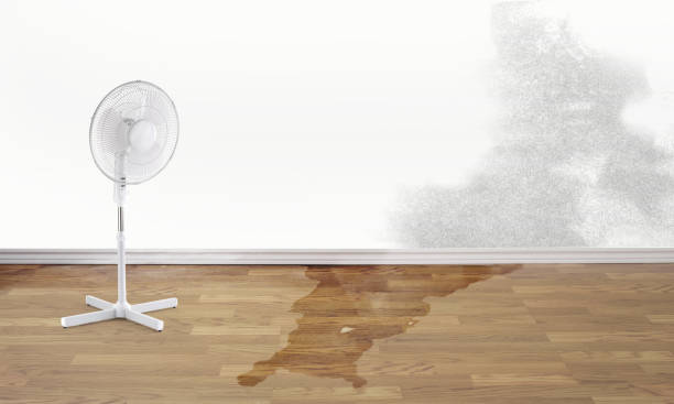 Best Sewage cleanup and water damage restoration  in State College, PA