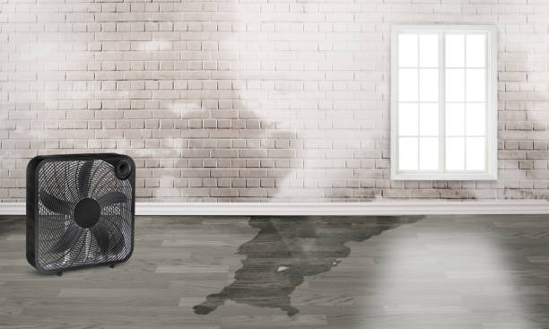 Best Commercial water damage restoration  in State College, PA