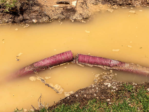 Best Flood restoration services  in State College, PA