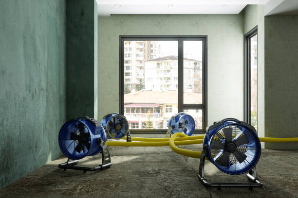Best Water damage restoration near me  in State College, PA